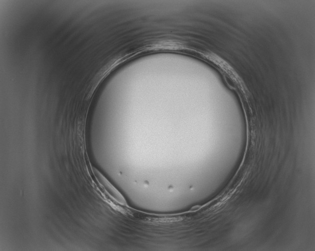 X0000083001337200702230116