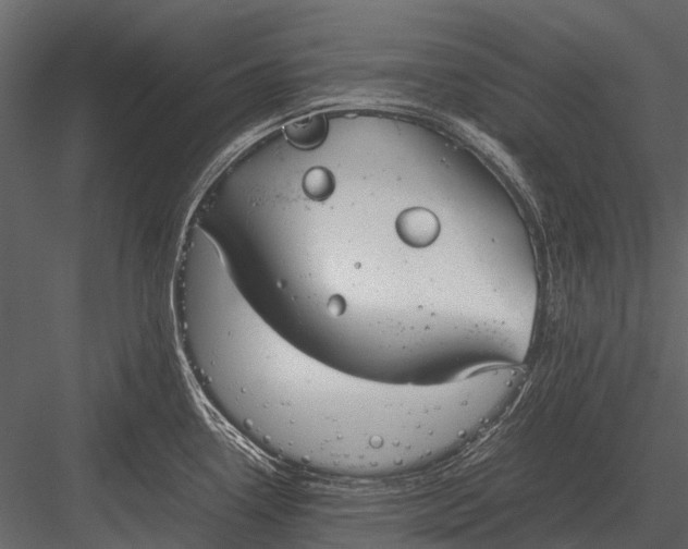 X0000083001338200702230116