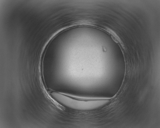 X0000083001339200702230116