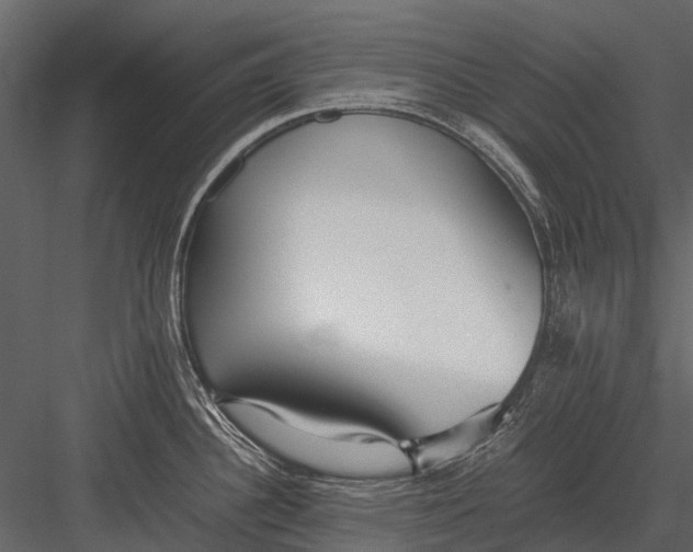 X0000083001340200702230116