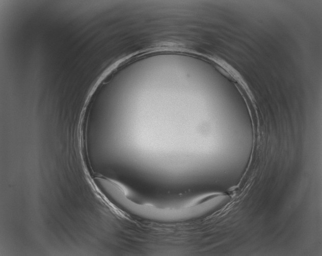 X0000083001341200702230116