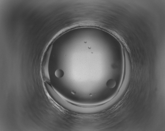 X0000083001342200702230116