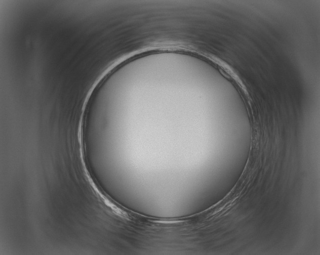 X0000083001343200702230116