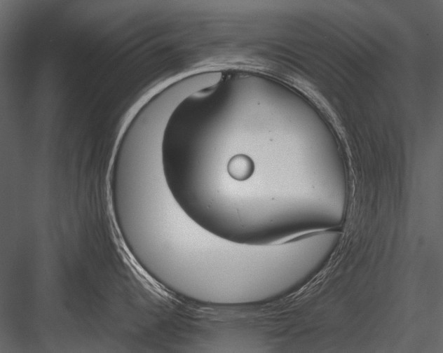 X0000083001344200702230117