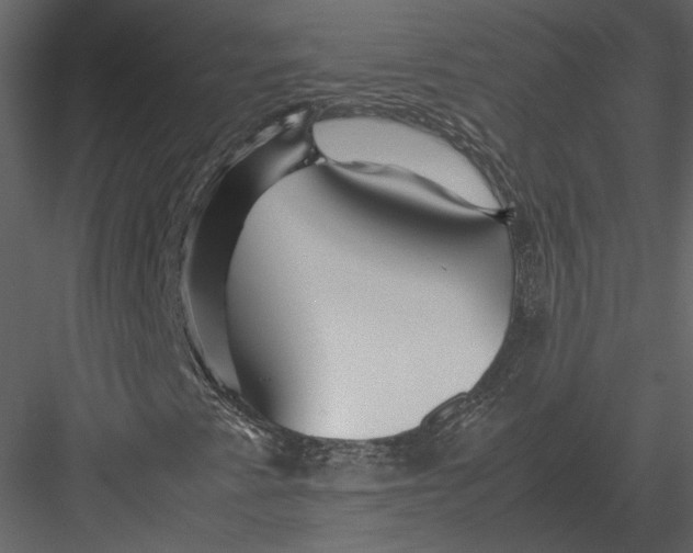 X0000083001345200702230116