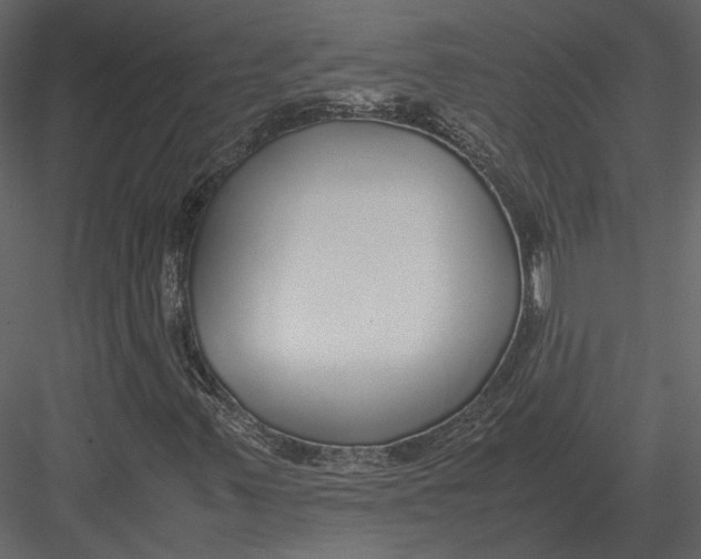 X0000083001347200702230116