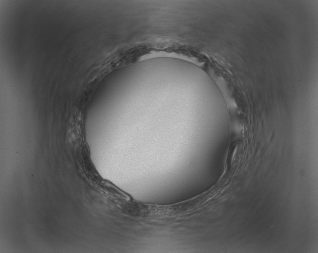 X0000083001349200702230116