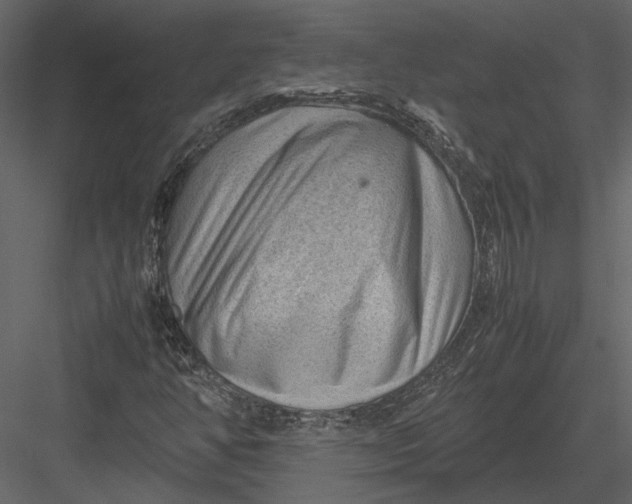 X0000083001350200702230116