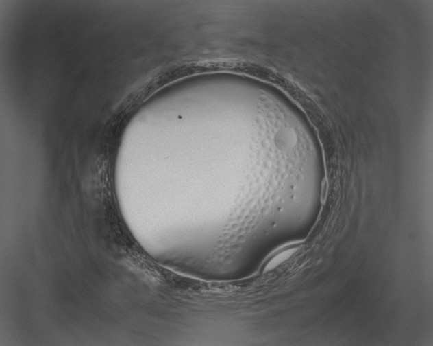 X0000083001351200702230116