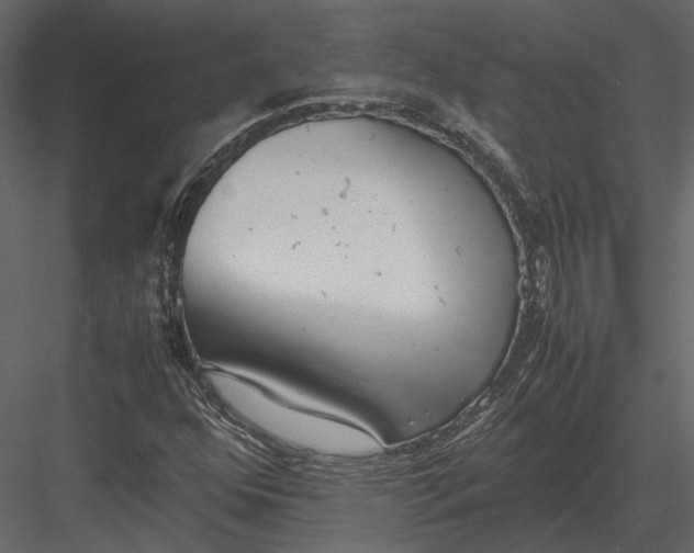 X0000083001352200702230116