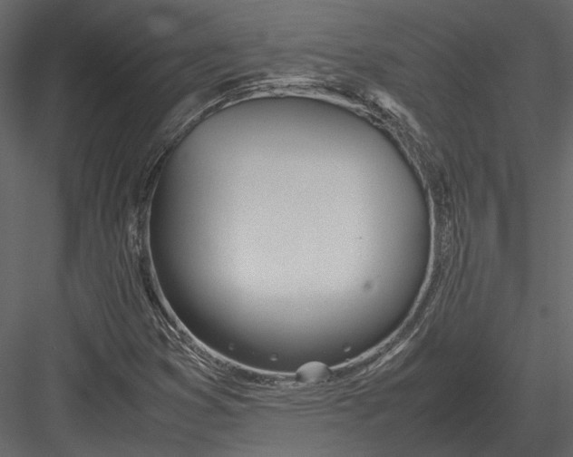 X0000083001353200702230116