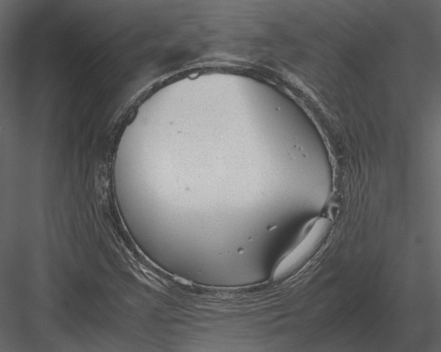 X0000083001355200702230116