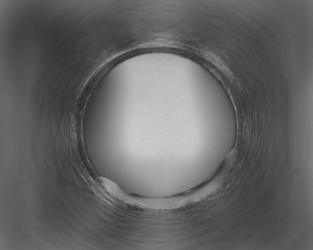 X0000083001356200702230115