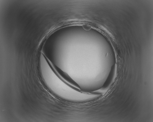 X0000083001357200702230115