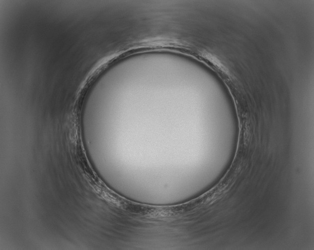 X0000083001358200702230115