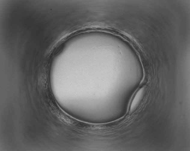 X0000083001359200702230115