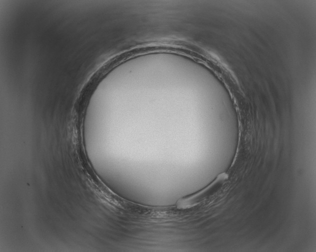 X0000083001360200702230115