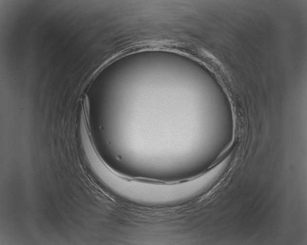 X0000083001361200702230115