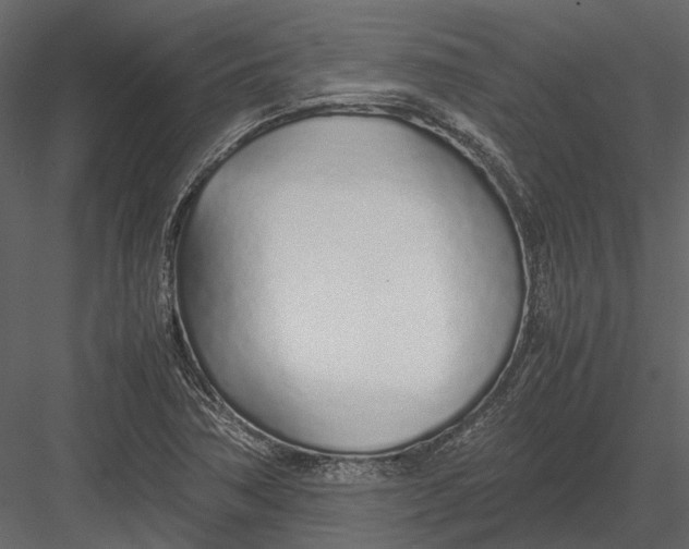 X0000083001362200702230115