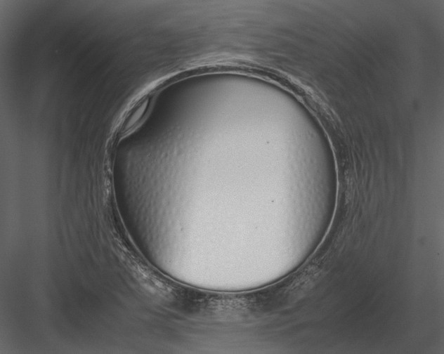 X0000083001363200702230115