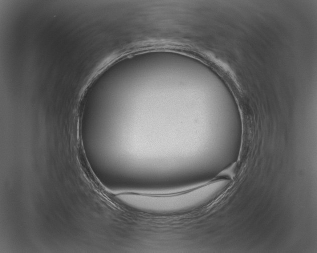 X0000083001365200702230115