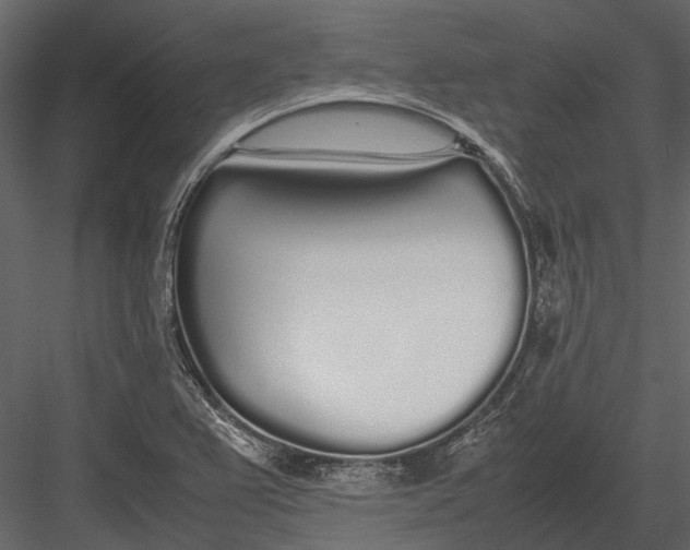 X0000083001367200702230115