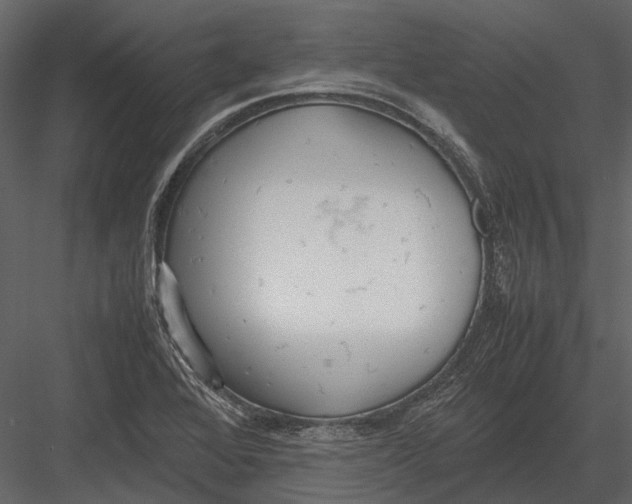 X0000083001368200702230115