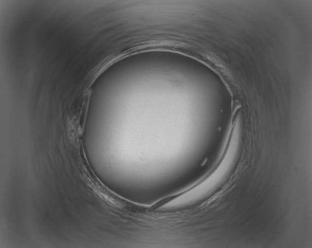 X0000083001369200702230115