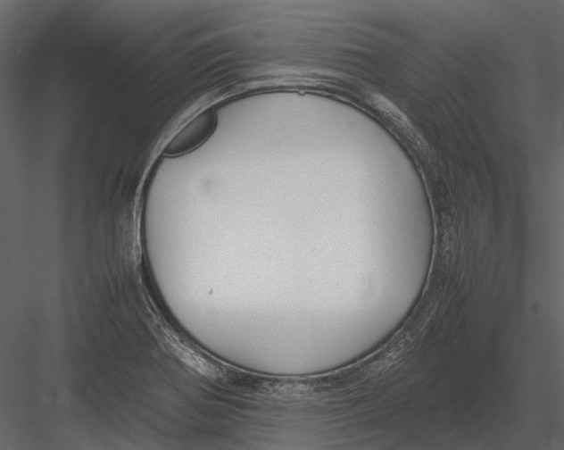 X0000083001370200702230115