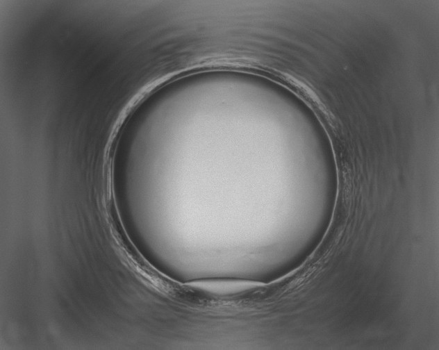 X0000083001371200702230115