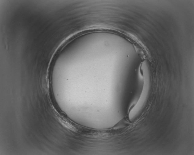 X0000083001372200702230115