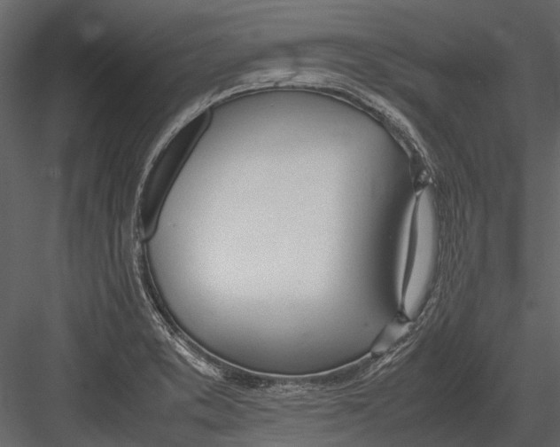 X0000083001373200702230115