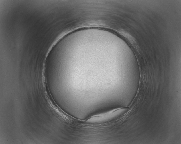 X0000083001374200702230115