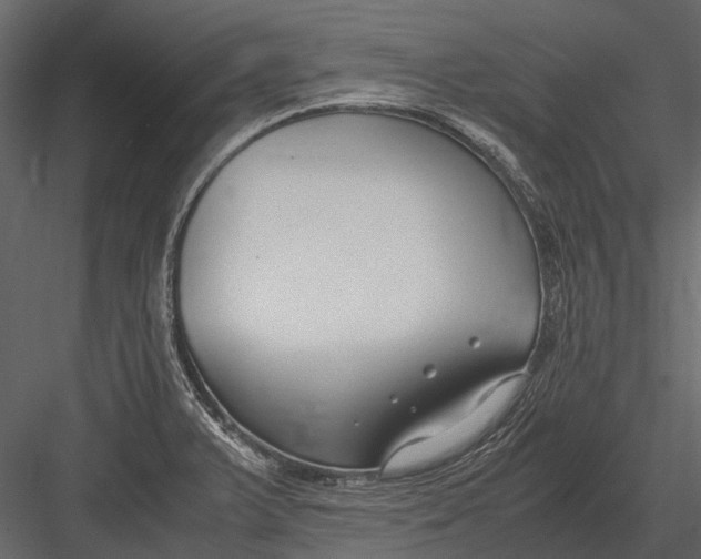 X0000083001375200702230115