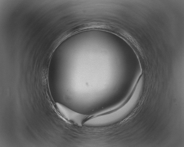 X0000083001377200702230115