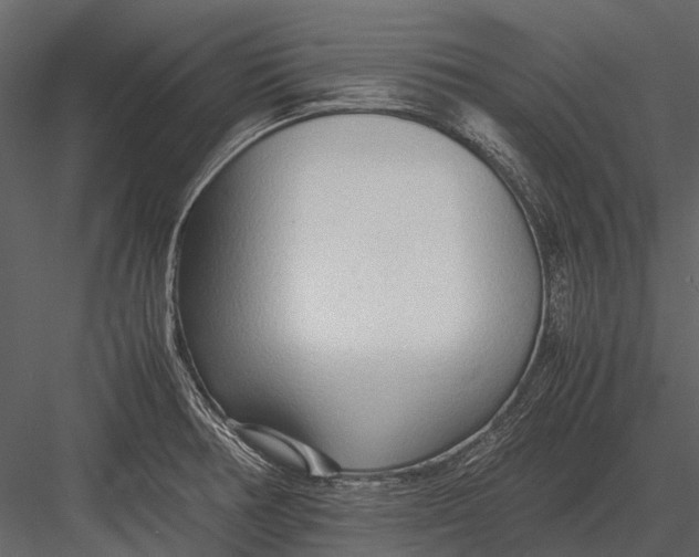 X0000083001378200702230115