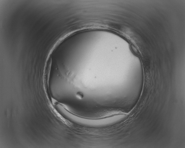 X0000083001379200702230115