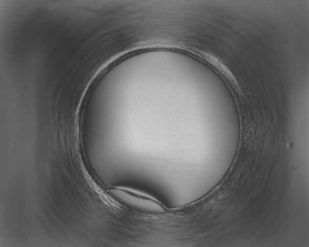 X0000083001380200702230115