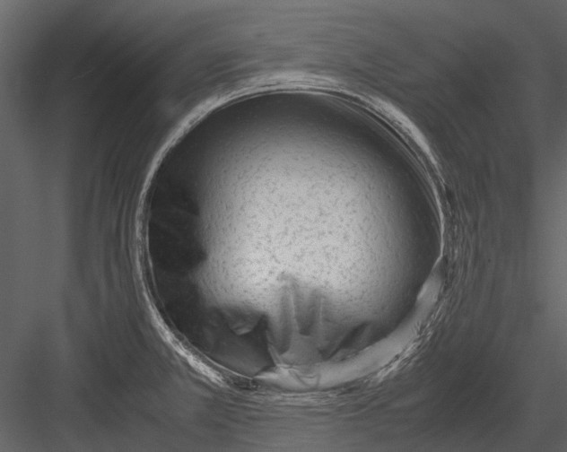 X0000083001381200702230115