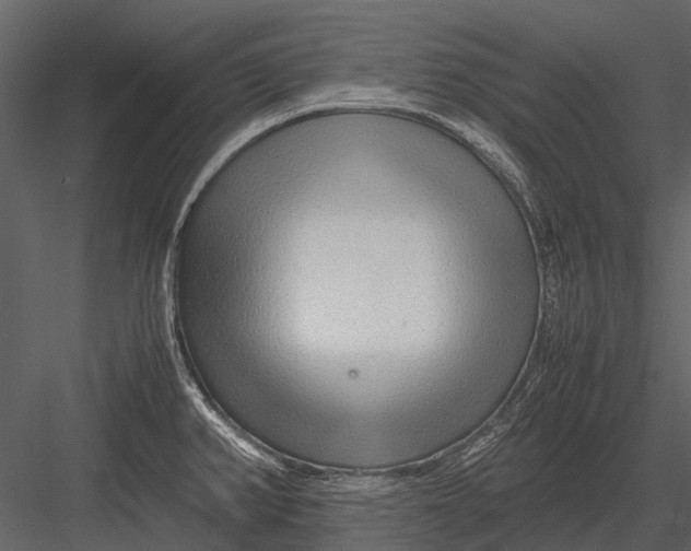 X0000083001382200702230115