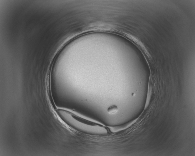 X0000083001383200702230115