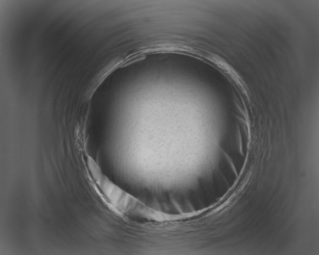 X0000083001385200702230115