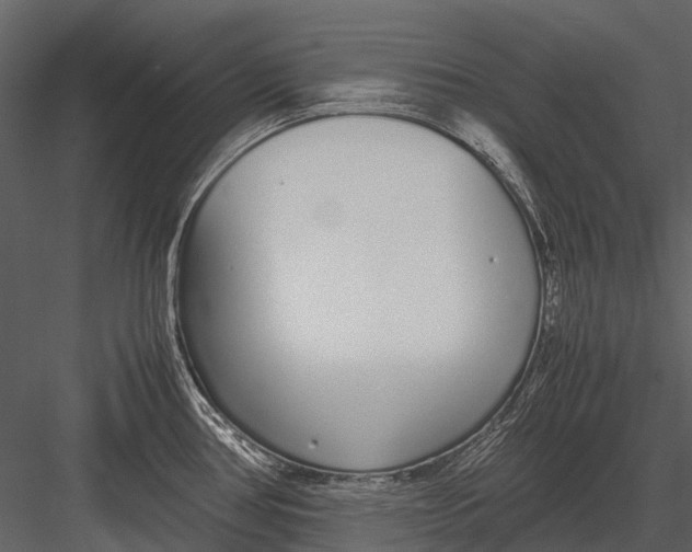 X0000083001386200702230115