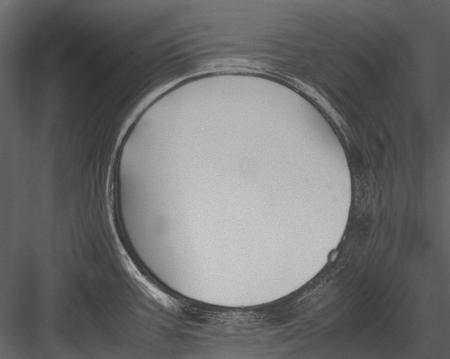 X0000083001387200702230115