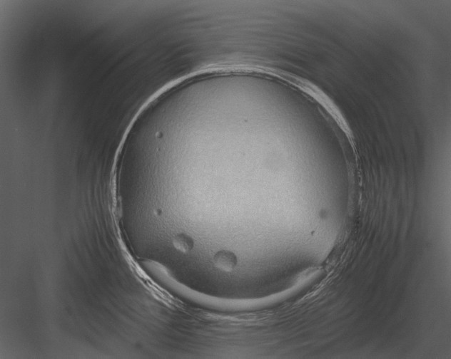 X0000083001388200702230115