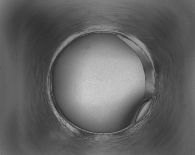 X0000083001389200702230115