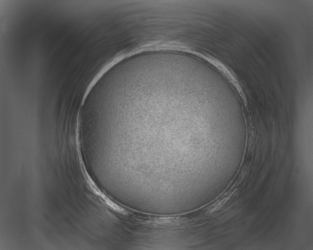 X0000083001390200702230115