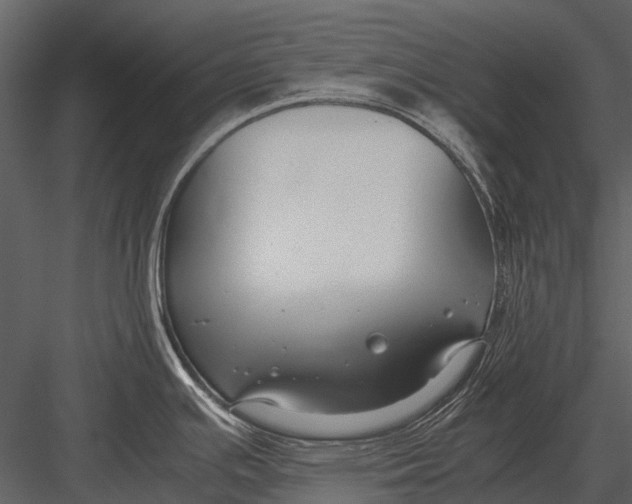 X0000083001391200702230115