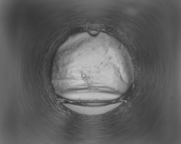 X0000083001393200702230114