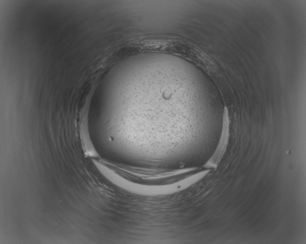 X0000083001394200702230114